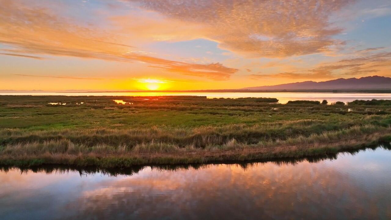 四季旅行·印象内蒙古|夏日乌梁素海美景如画