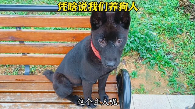 凭什么对我们养狗人指指点点?#中华园犬 #狗是人类最忠诚的朋友 #健宠缘