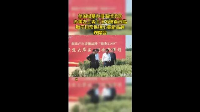 全国绿基办淮海经济区办事处工委主任冯现锴莅临睢宁县梁集镇小麦新品种观摩会