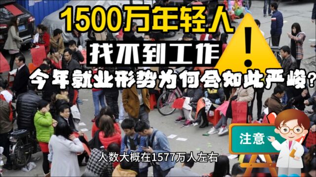 1500万人找不到工作,今年就业形势为何会如此严峻!