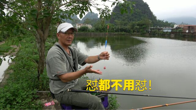 浮钓鲢鳙用长漂又大又稳?这个视频告诉你,那又是智商税