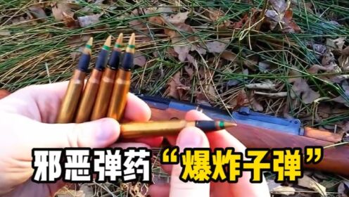 击中目标后弹头会爆炸的恐怖子弹,德国二战时期的邪恶弹药_高清1080P在线观看平台_腾讯视频