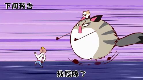 《生而为猫》93-97集PV预告更新！网红猫阿卷闪亮登场！
