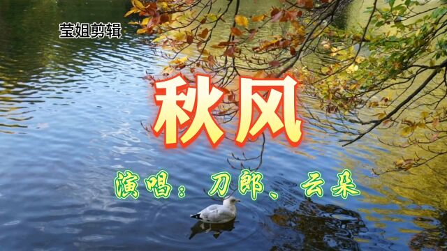 《秋风》演唱刀郎、云朵,歌声优美动听,值得分享