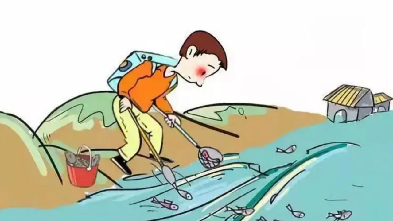 电鱼不慎电死自己,还能获得保险索赔吗?_腾讯视频
