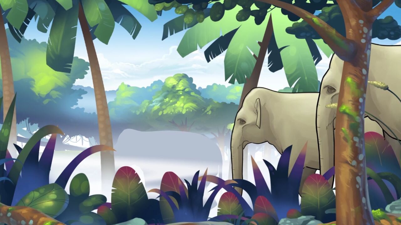 【视频】跟随检察官,沉浸式探秘万物共生的"雨林方舟"