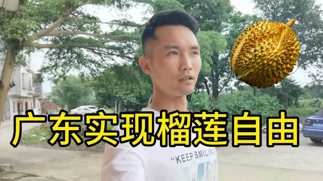 某网买的榴莲树苗发芽,在广东可以实现榴莲自由吗