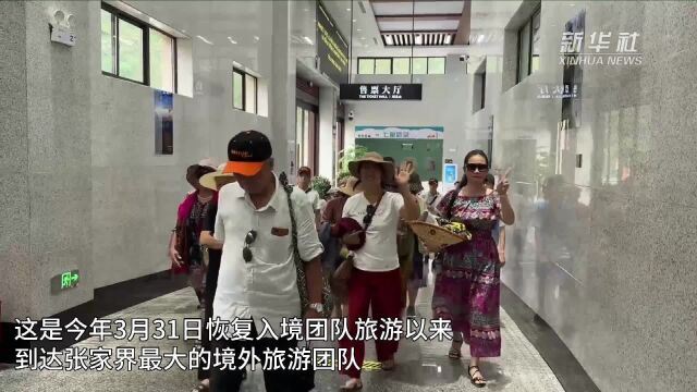 入境旅游市场火热 400人越南大型旅游团畅游张家界