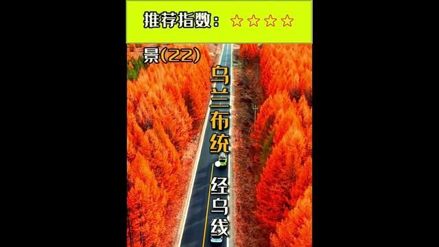 从内蒙古克什克腾旗政府驻地经棚镇到乌兰布统的经乌线是中国最美的草原公路之一,一条双车道的柏油路穿行在桦木林,穿行在高山草甸