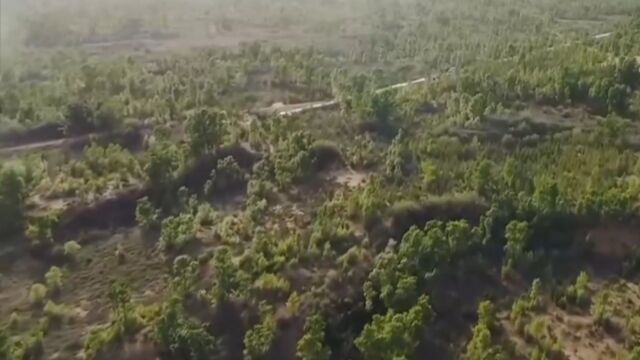 毛乌素沙地是中国四大沙地之一,它即将成为中国首个消失的沙地