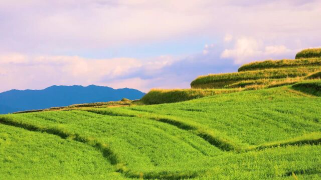 秀美平安天地山川ⷤ𙘩㎨€Œ起