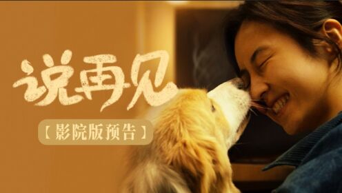 说再见