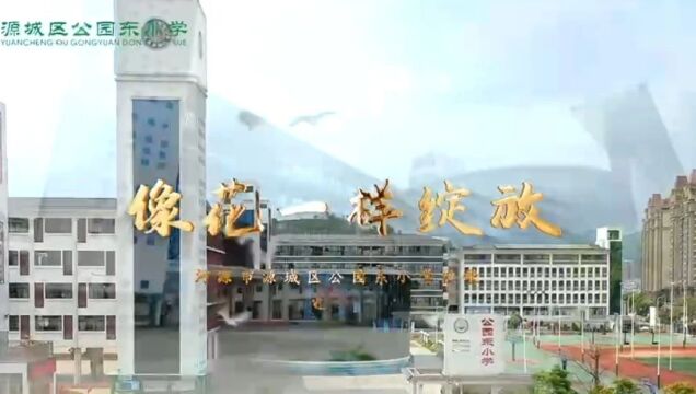 【文明之路】源城区公园东小学:文明之花绽校园