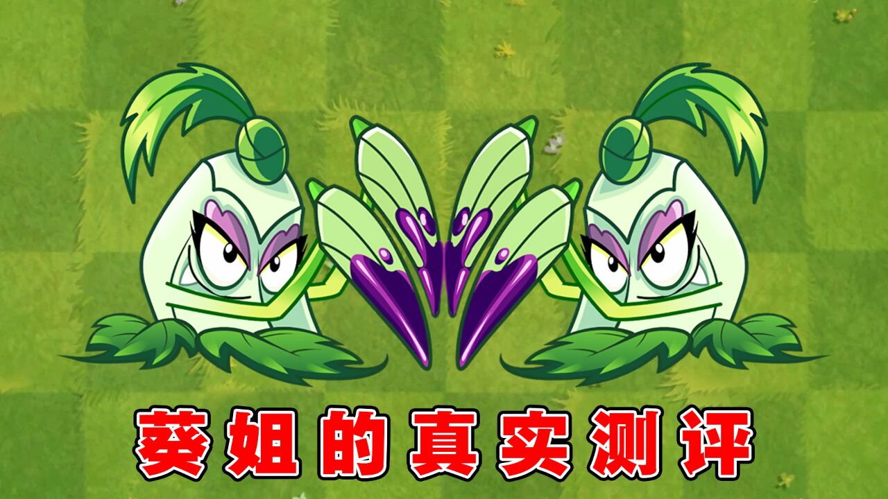 植物大战僵尸:女中豪杰尖刺秋葵1-5阶有何区别?