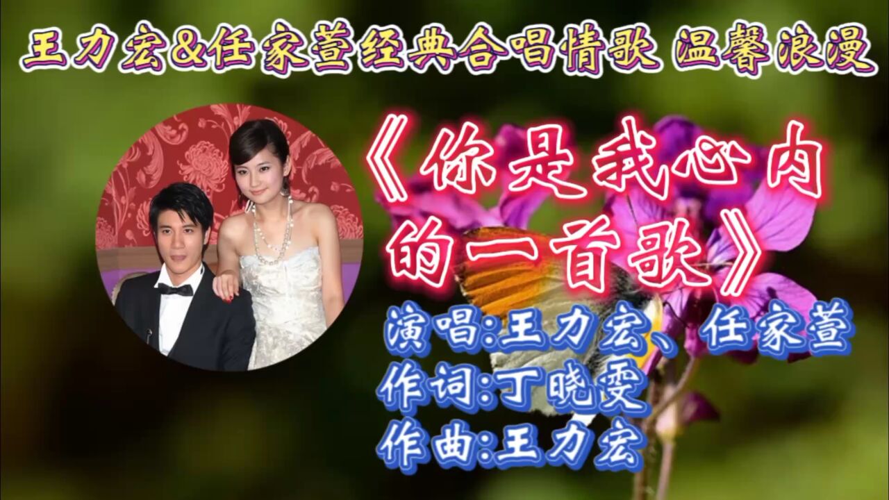 怀旧经典情歌《你是我心内的一首歌》王力宏任家萱深情合唱,温馨浪漫