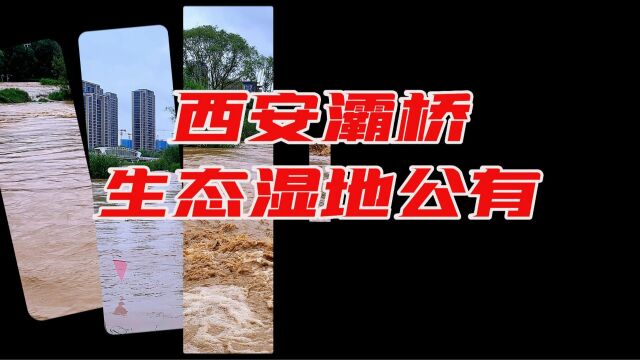 西安灞桥生态湿地公园6月6日