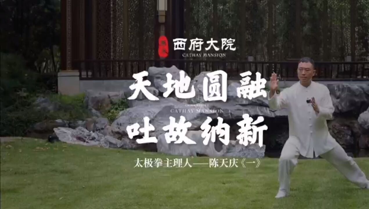陈氏太极拳小架，陈天庆_高清1080P在线观看平台_腾讯视频