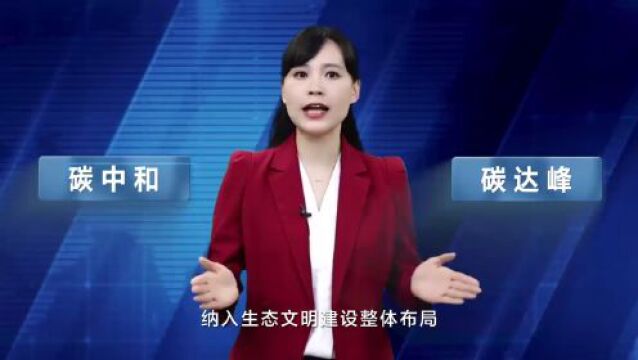 零时差Talk|应对气候危机,国际社会需凝聚合力