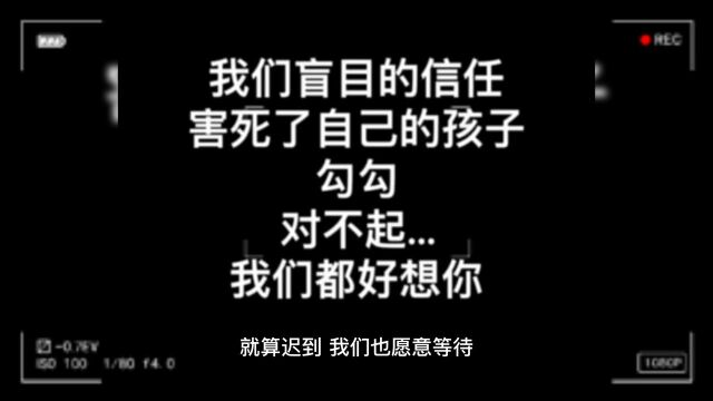 继金毛siri事件之后,又一只被无良宠物托运公司害死的狗狗,他是边牧勾勾,宠物托运需要注意哪些事项