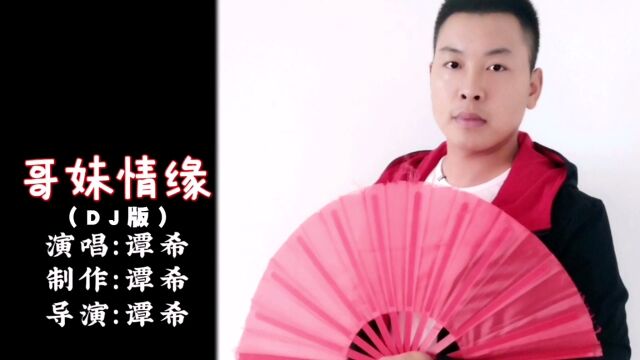 谭希歌曲《哥妹情缘(DJ版)》