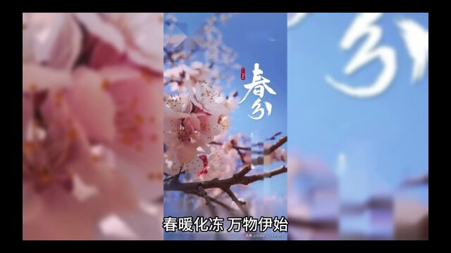 《治好恋爱脑后,全宗门的画风都变了》林渡杜芍小说【未删减版】