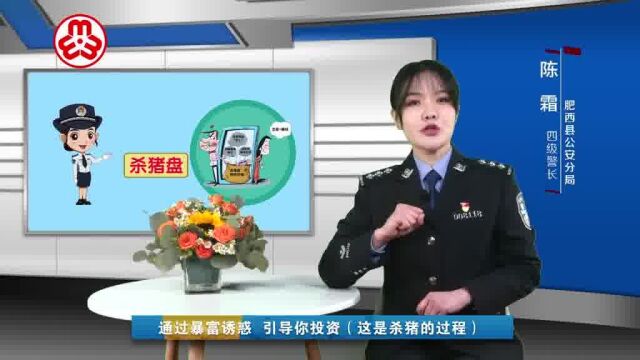 女性容易遭遇哪些骗局陈霜警长