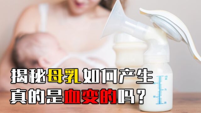 揭秘母乳如何产生?“一斤血一斤奶”,到底是真是假?