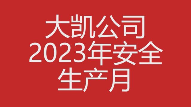 大凯公司安全咨询日活动视频