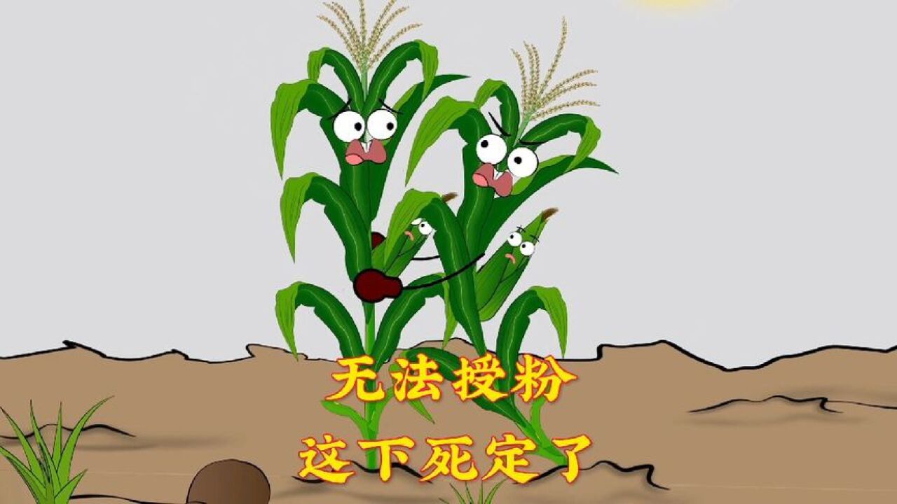 这多亏了你啊,我得好好谢谢你啊!_腾讯视频