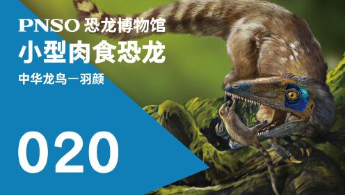 第01集第一种被发现长有羽毛的恐龙——中华龙鸟羽颜_高清1080P在线观看平台_腾讯视频