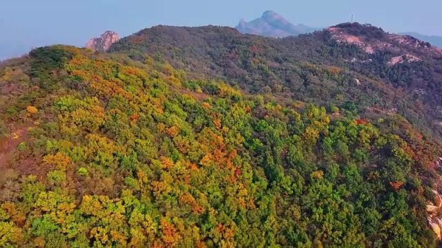 泰安市宁阳县凤仙山:遇见金秋