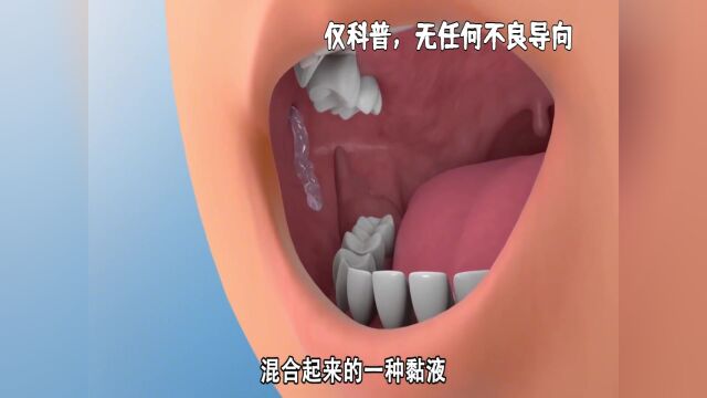 人类身体不同部位的液体是啥味道?汗液不仅是臭的,口水味也会变