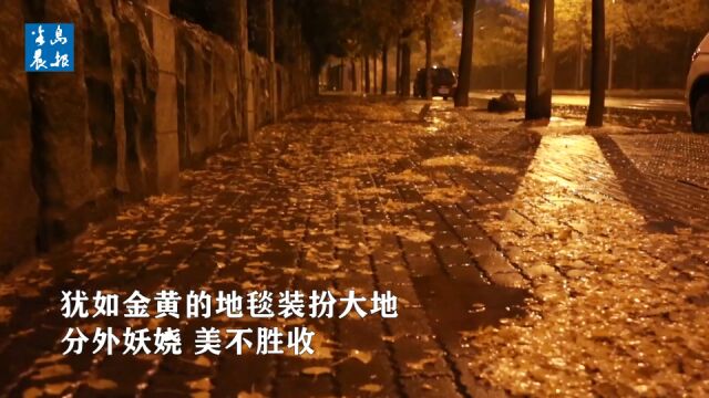 雨打落叶满地黄