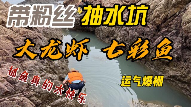 粉丝包坑,5斤大花鳗众人不敢下手,大哥壮胆单手抓头尽显男子气概