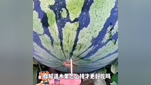 不信你试试