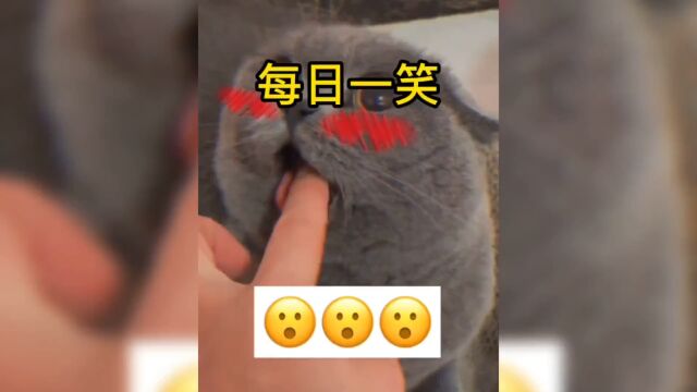 每日一笑