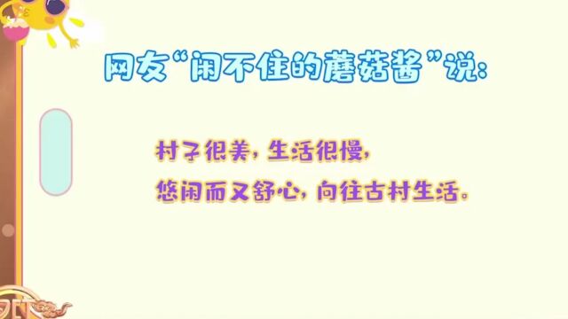 通过回乡养老和艺术乡村建设,网友们纷纷讲出自己的心得体会