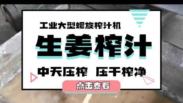 洋姜榨汁机 菊芋压榨机 菊芋榨汁机 螺旋榨汁机 茶籽榨油机生姜压榨机,姜汁,姜糖生姜榨汁机