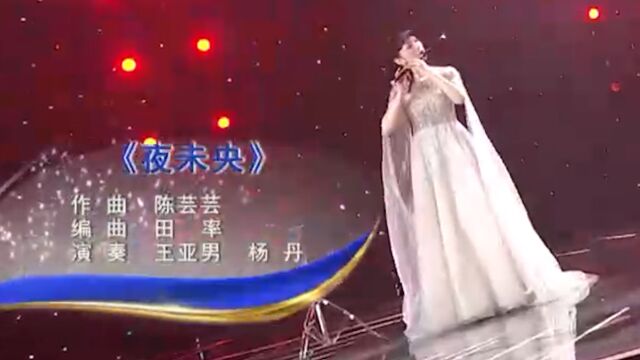 王亚男和杨丹共同演奏《夜未央》,优美动听的旋律,令人心醉