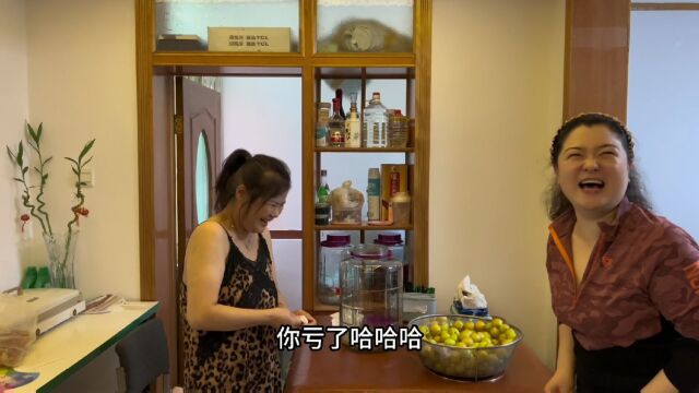 北京农村大妞泡李子杏酒,24斤60℃高粱酒,10斤李子杏2斤黄冰糖