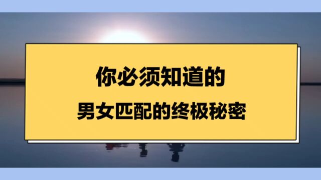 你必须知道的,男女匹配的终极秘密