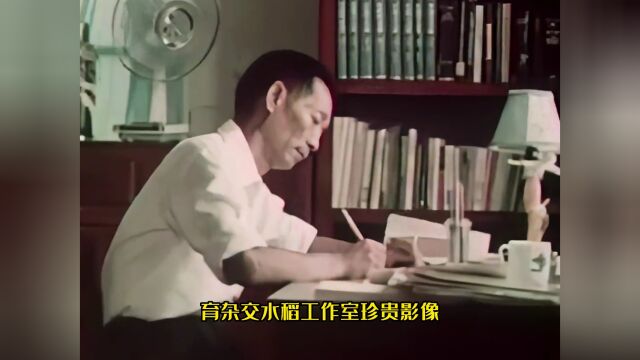 1981年袁隆平院士工作真实影像,大国院士,一心为百姓着想