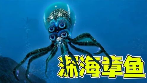 深海迷航4：意外发现深海章鱼，长相诡异，适合做铁板烧！
