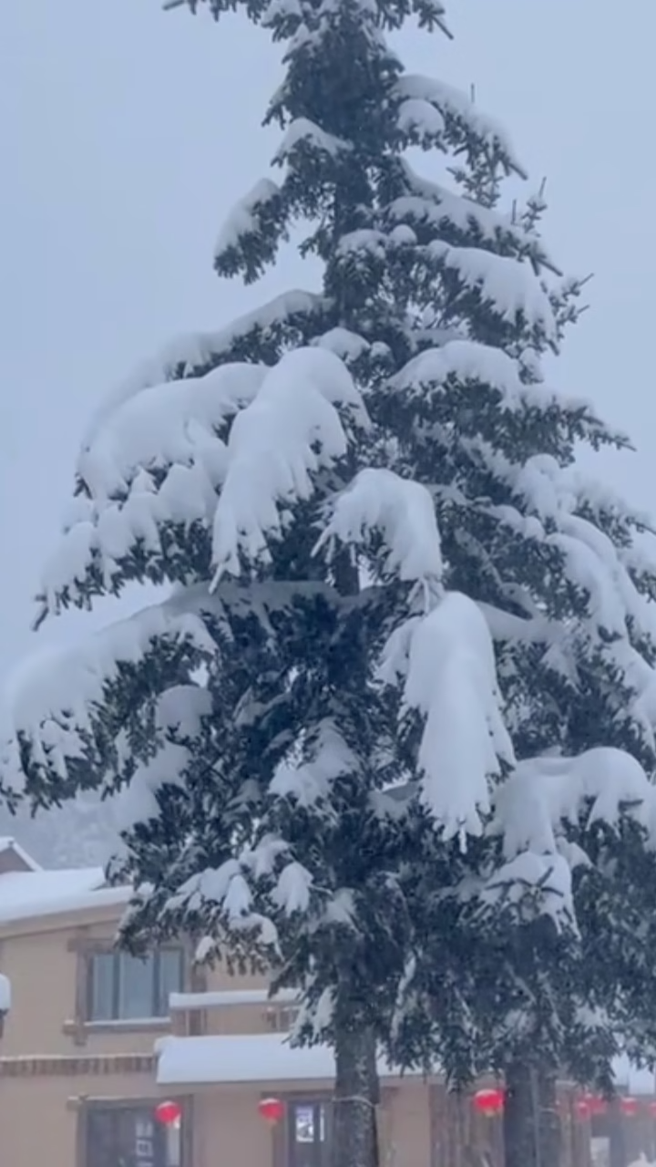 岭头飞雪日图片