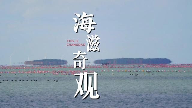 海上仙山名不虚传,季节变换间,海滋奇观又现长岛#海滋奇观 #海上仙山长岛 #烟台网红打卡地 #自然奇观