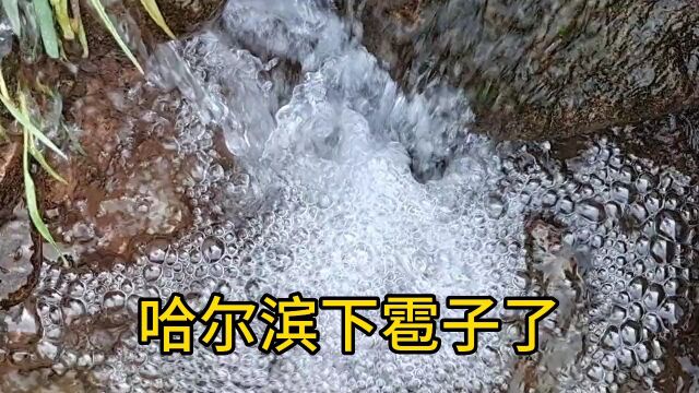 哈尔滨局部地区发生暴雨,冰雹.