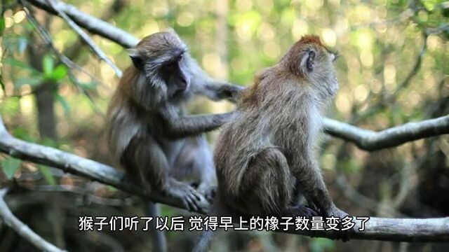 成语故事:朝三暮四的由来