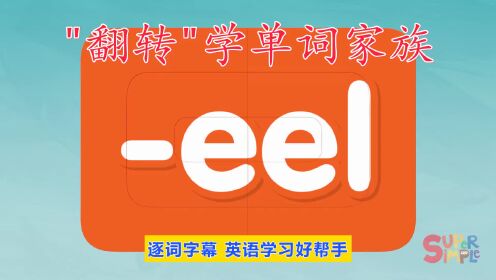 看动画学单词，-eel 单词家族中的单词，少儿英语，英语听力
