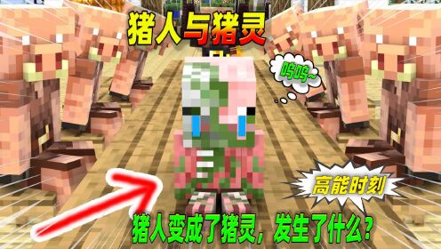 我的世界:猪人是如何变成猪灵的呢?这个视频告诉你!_高清1080P在线观看平台_腾讯视频