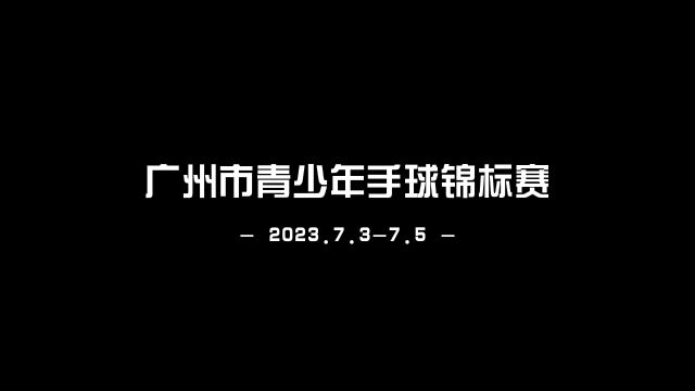 广州市青少年手球锦标赛